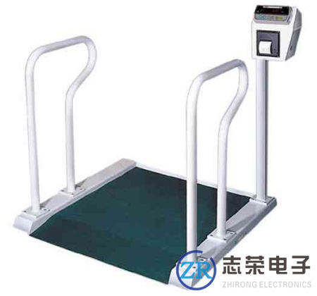 雙扶手輪椅秤_供應醫(yī)院透析室雙扶手輪椅秤/技術(shù)參數(shù)